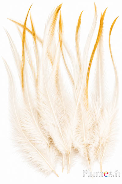 Haan Leon - 20-25 cm - natuurlijk crème